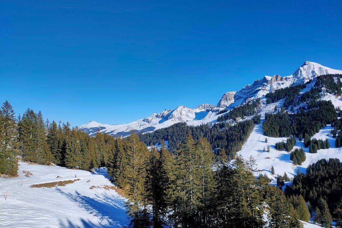 Adelboden, Alpi svizzere