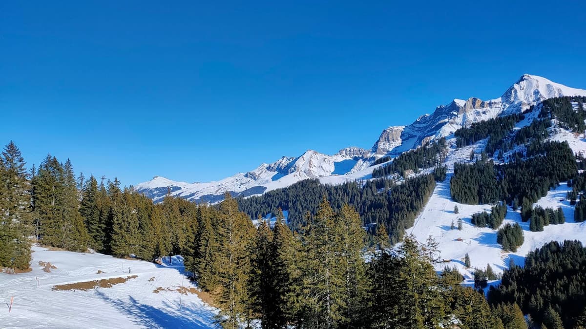 Adelboden, Alpi svizzere