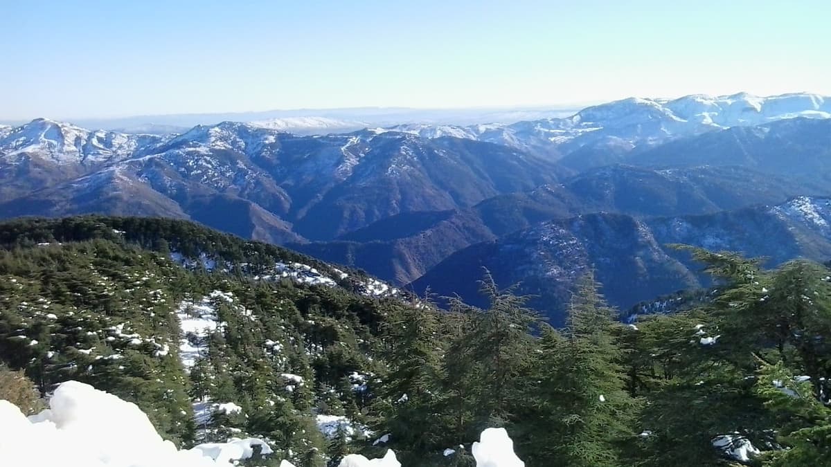 Chréa, Monti algerini