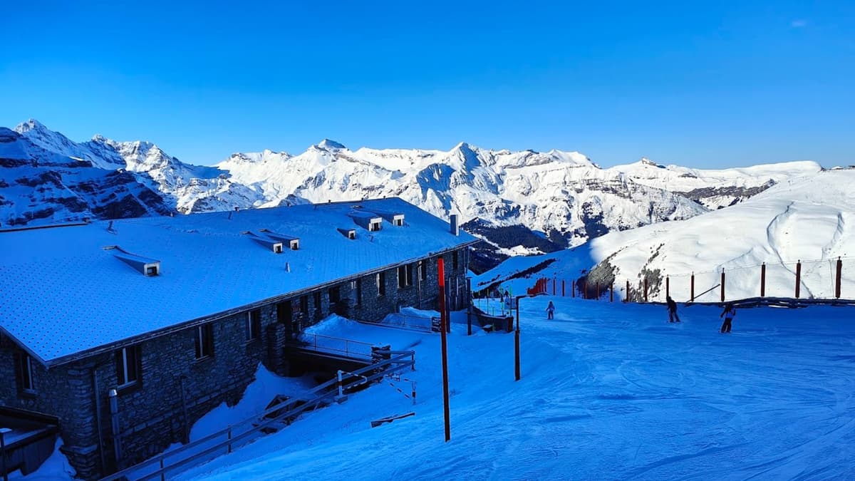 Grindelwald, Swiss Alps