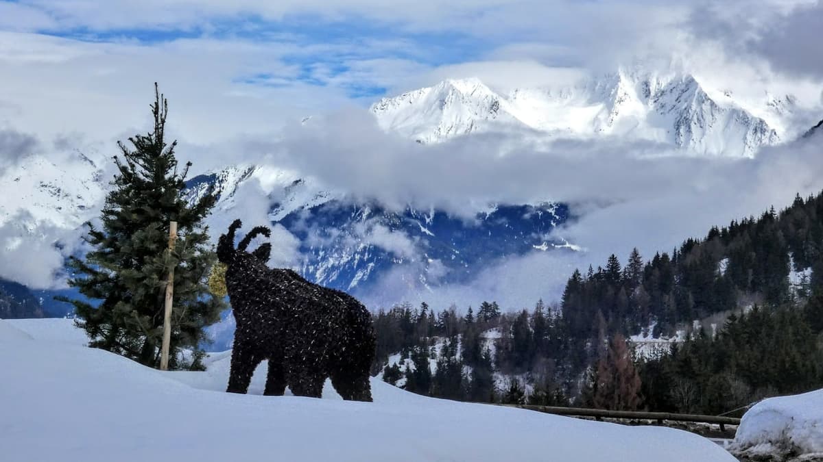 La Tania, Alpi francesi