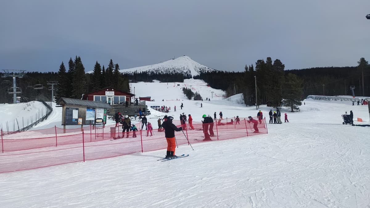 Lofsdalen, Montagnes suédoises