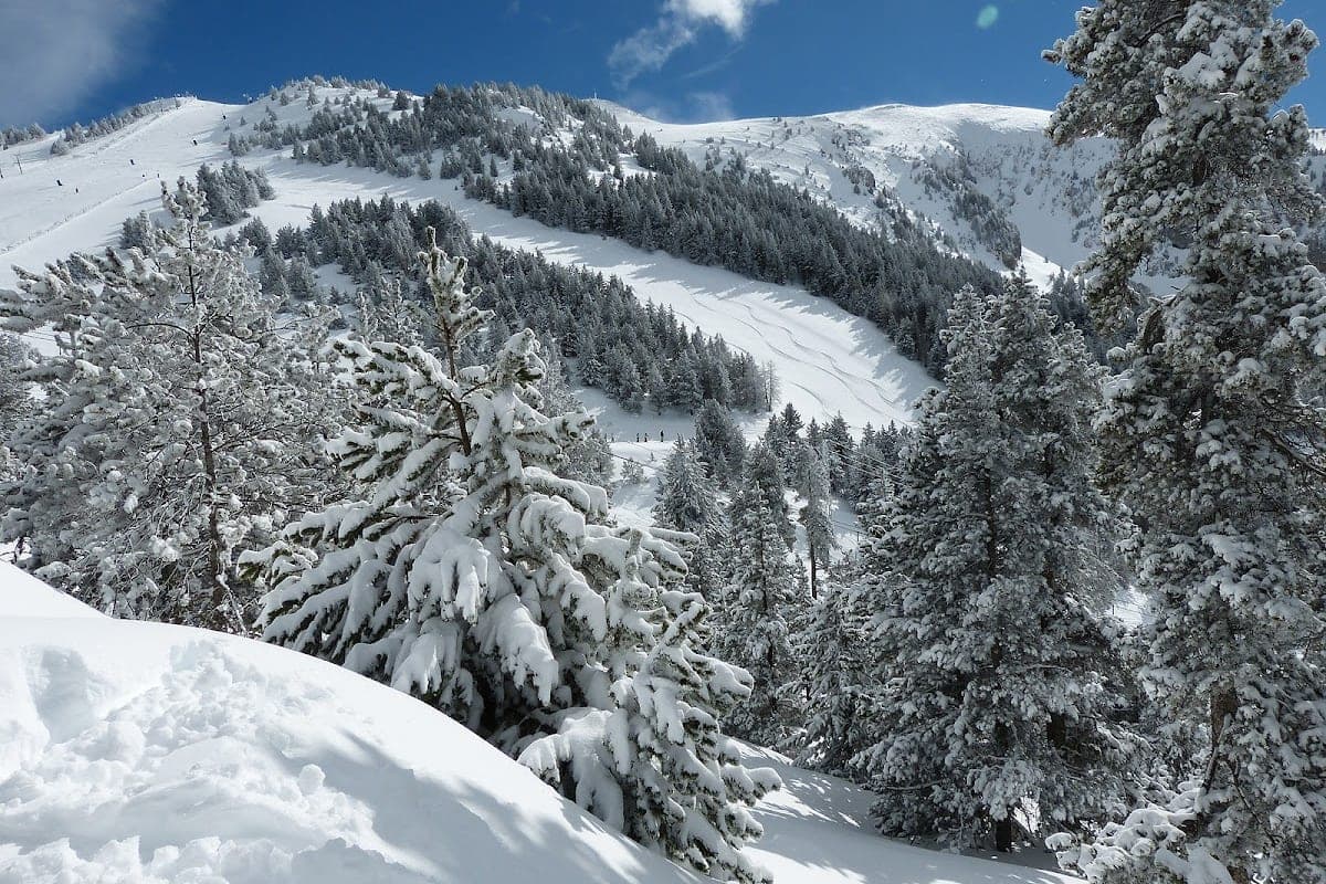 Masella, Spanish Pyrenees