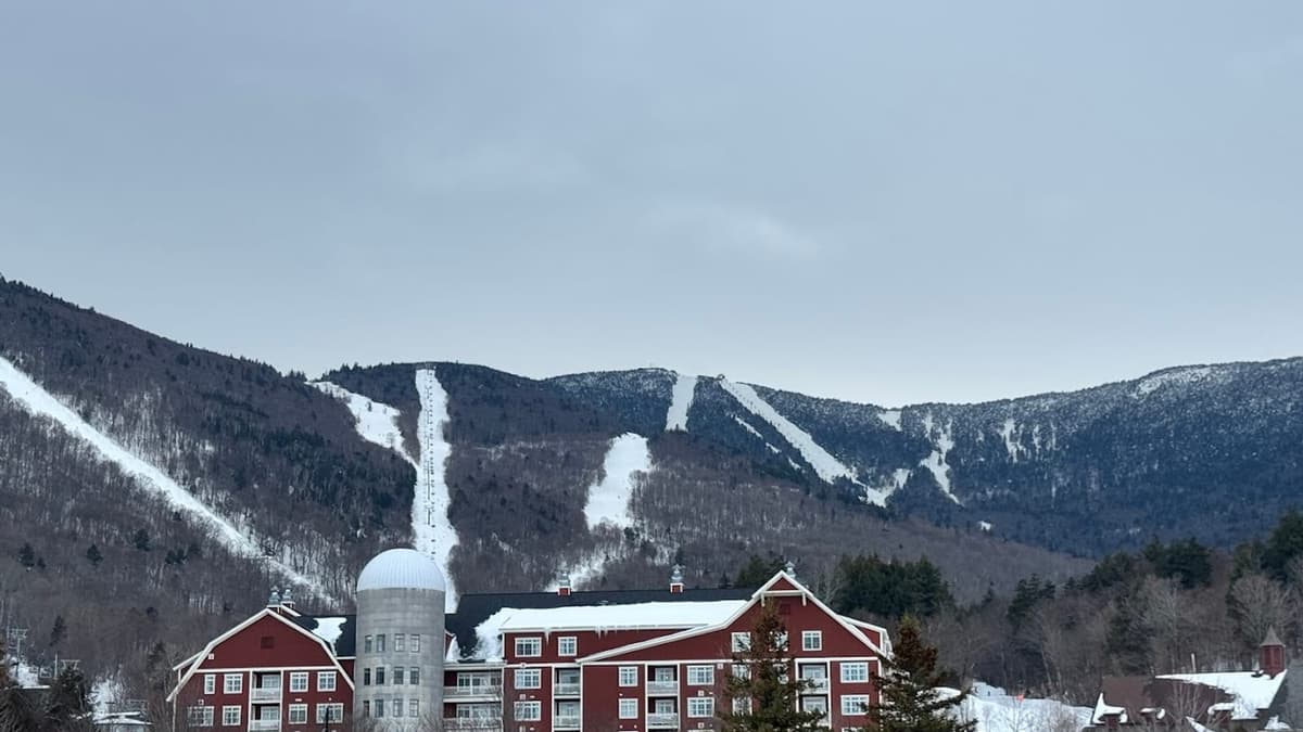 Sugarbush