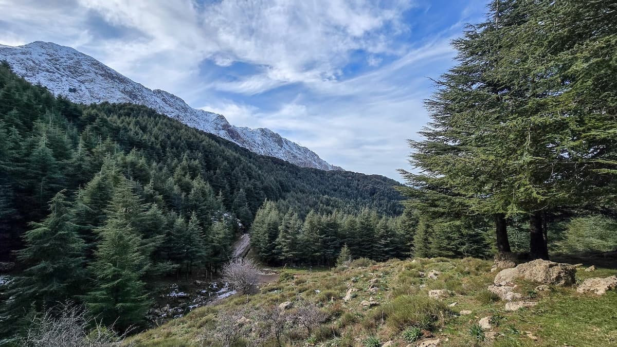 Tala-Guilef, Monti algerini