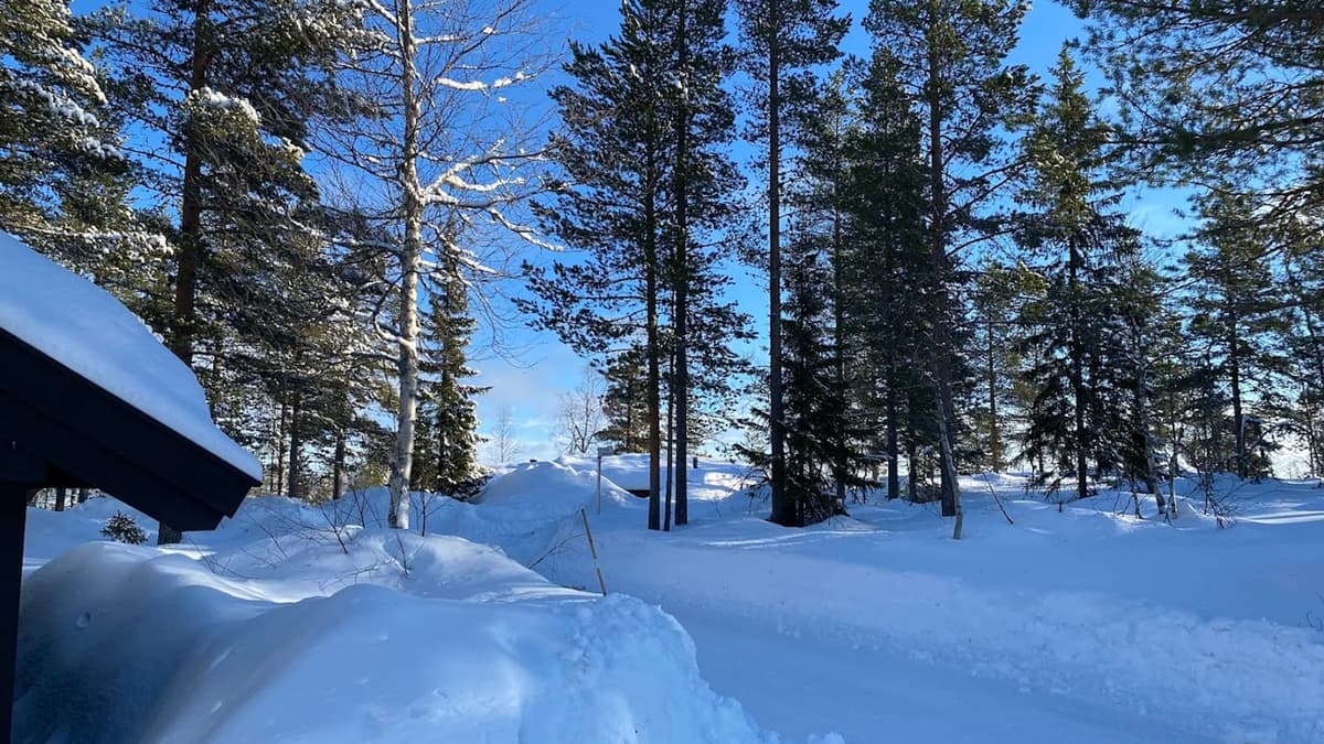 Trysil, Montagnes norvégiennes