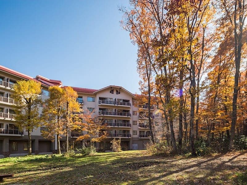 Hakuba Tokyu Hotel