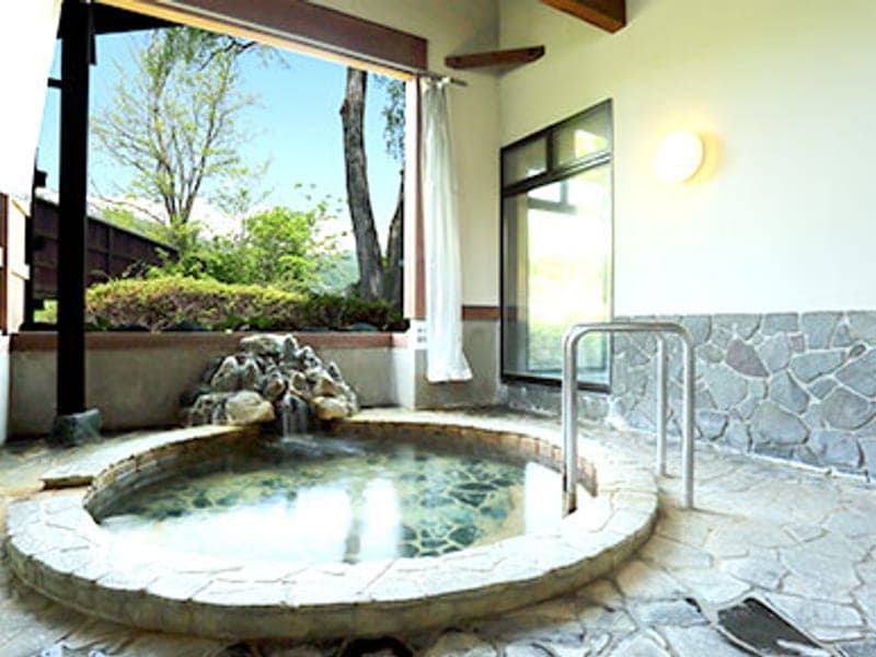Hotel Hakuba